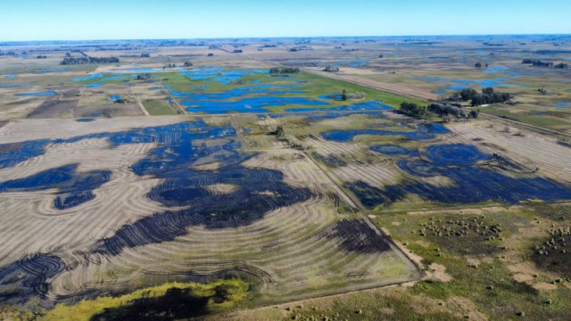 Inundaciones en 9 de Julio: el desafío de volver a producir