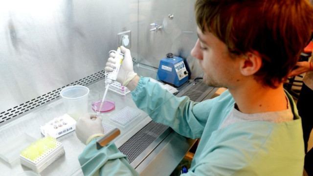 Récord histórico: Argentina aprobó 38 OGM en solo dos años