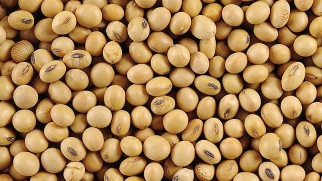 Fundamentos Agrícolas vs. Ruido Externo: ¿Qué Define los Precios al Cierre de Diciembre?