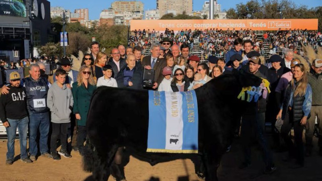Se viene un Palermo distinto: Angus apuesta a una jura sin precedentes