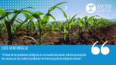 Luis Ventimiglia - Jefe de la Agencia de Extensión Rural de 9 de Julio, del INTA