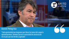 Daniel Pelegrina - Presidente de Sociedad Rural Argentina (SRA)