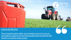 Leonardo Nicolini - Vicepresidente de CEPREB