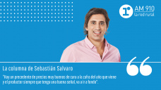 Columna Sebastian Salvaro - 