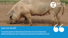 Juan Luis Uccelli - Consultor del Sector Porcino