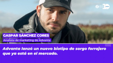 Gaspar Sánchez Cores - Analista de marketing de Advanta