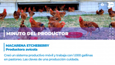 Minuto del productor - Macarena Etcheberry, productora avícola.