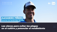 Alejandro Piñeiro - Gerente de herbicidas de UPL.