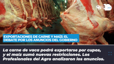 Exportaciones de carne y maíz - El debate por los anuncios del Gobierno