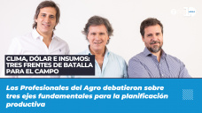 Clima, dólar e insumos: tres frentes de batalla para el agro