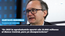 Gustavo Idigoras - Presidente de la Cámara Argentina de la Industria Aceitera y el Centro de Exportadores de Cereales