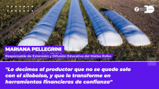 Mariana Pellegrini - Responsable de Extensión y Difusión Educativa del Matba Rófex