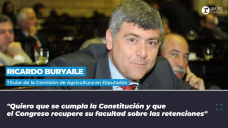 Ricardo Buryaile - Titular de la Comisión de Agricultura en Diputados