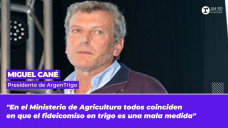 Miguel Cané - Presidente de ArgenTrigo
