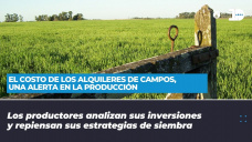 El costo de los alquileres de campos, una alerta en la producción