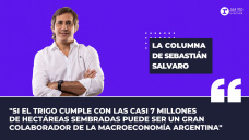 Columna Sebastián Salvaro: “Se larga el trigo con mucho costo y mucha inversión”