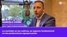 Marcelo Cohen - Director comercial de Nutrien