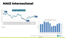Maíz: recibiendo la presión en los precios; con Lorena D´Angelo - Clínica de Granos