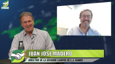 Venta de Campos: clase 1 a 20.000 dol, más demanda de ganaderos, y mercado cauteloso; con Juanjo Madero - agrónomo
