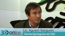 30 online B2: ¿Para el productor es mejor tomar créditos en dólares o en pesos?; con A. Ibarguren - ICBC