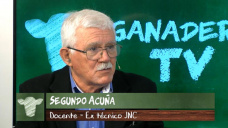 Carne FOR EXPORT con tipificación, certificación y animal pesado; con S. Acuña