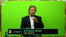 Animarse a manejar con neblina mirando lo que otros no ven, o esperar a que aclare; por Ricardo Bindi