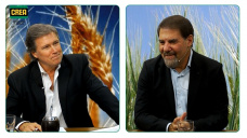 Claudio Zuchovicki y cómo aguantar la tormenta K ante una Argentina que es todavía una gran oportunidad