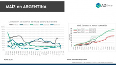 Maíz: Preocupan los cultivos afectados por la chicharrita; con Lorena D´Angelo - Clínica de Granos