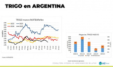 Trigo: La cosecha presiona los precios 24/25; con Lorena D´Angelo - Clínica de Granos