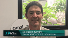 Que la Soja valga 320 o 380 dólares va a depender de Trump y China; con S. Olivero