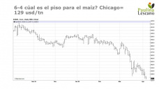 Maíz: a pesar de todo, los precios locales siguen con premio vs Chicago, con Paulina Lescano - Clínica de Granos