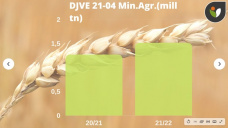 Trigo: se puso picante, en Chicago, empujado por los precios del maíz que alientan la demanda para uso forrajero, con Paulina Lescano - Clínica de Granos