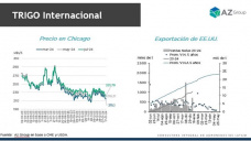 Trigo: esperando que Brasil llegue con un premio y más demanda; con Catalina Ferrari - Clínica de Granos
