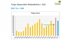 Trigo: el mas pobre de los 3 en el mercado internacional, pero con mucha volatilidad, con Paulina Lescano - Clínica de Granos