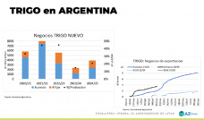 Trigo: con más cosecha, ¿los precios no subirán?; con Lorena D´Angelo - Clínica de Granos
