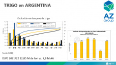 Trigo: con más trigo se amplió el “volumen de equilibrio”, con Lorena D´Angelo - Clínica de Granos