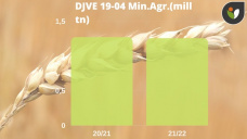 Trigo: recuperando fuerza en Chicago, heladas por un lado, mayor demanda como forraje por otro, con Paulina Lescano - Clínica de Granos