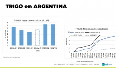 Trigo: Subas para el cereal argentino; con Lorena D´Angelo - Clínica de Granos