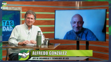 Rotaciones, diversificación y los maices colorados Flint de alto valor exportador; con A. González - ACA