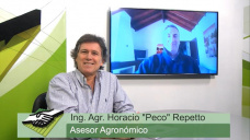 TV: ¿Cuales son los problemas sanitarios, productivos y de rentabilidad que tiene el Campo hoy?; con Peco Repetto