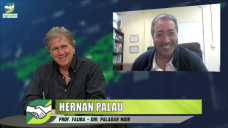 Nuevas tendencias en Vinos: cae el consumo, ¿por donde pasa el negocio?; con Hernán Palau - Prof. Fauba