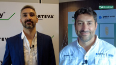 Nuevo herbicida para el manejo de crucíferas resistentes en presiembra de trigo y cebada; con I. Sagarzazu y M. de Esteban - Corteva