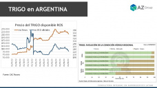 Trigo: mejoras sólo para algunos cultivos, ¿y en los precios?; con Lorena D´Angelo - Clínica de Granos