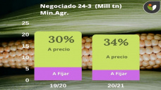 Maíz: es mucha o poca área lo que publicó el USDA el 31 de marzo?, con Paulina Lescano - Clínica de Granos