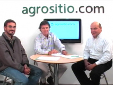 TV: Girasol altos rendimientos, ¿cómo pasar de 1.700 a 4.000 Kg/ha?