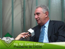 TV: “¿Por qué no aprovechamos la potencialidad de Argentina para forestar y producir celulosa?”- Carlos Cadoppi, Pte. Centro de Ingenieros 