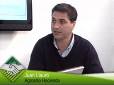 TV: ¿Dónde comprar y vender cría e invernada?, con Juan Llauró