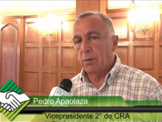 TV: “Pongamos blanco sobre negro: las economías regionales están muy comprometidas”- P. Apaolaza, CRA