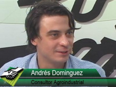 TV: ¿Cuantos temas de política agropecuaria quedaron pendientes para el 2013?; con A. Domínguez