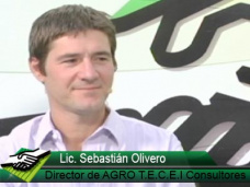 TV: ¿Cuánto vender o no de Soja y Maíz en febrero?; con S. Olivero